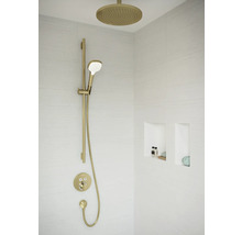 Brausestange hansgrohe Unica S Puro polished gold optic glänzend Brausestangenlänge 1008 mm mit Isiflex Brauseschlauch 1600 mm 28631990