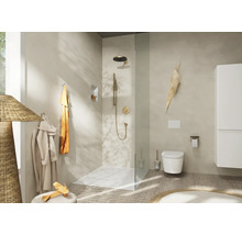 Brausestange hansgrohe Unica S Puro brushed bronze gebürstet Brausestangenlänge 663 mm mit Isiflex Brauseschlauch 1600 mm 24402140
