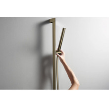 Brausestange hansgrohe Unica S Puro brushed bronze gebürstet Brausestangenlänge 663 mm mit Isiflex Brauseschlauch 1600 mm 24402140