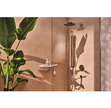 Brausegarnitur hansgrohe Pulsify S 100 1jet EcoSmart+ chrom glänzend Brausestangenlänge 950 mm 24383000