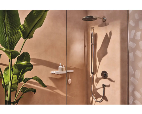 Badezimmer mit Dusche, Duschregal und Pflanze