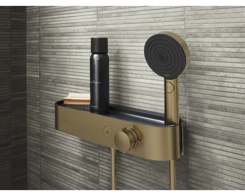 Ensemble de douche avec étagère, pommeau de douche, gel douche et brosse