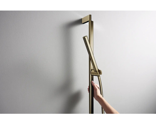 Brausestange mit Handbrause an einer Wand montiert
