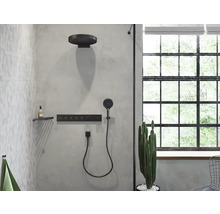 Salle de bains avec système de douche, étagère, serviette et cactus devant la fenêtre