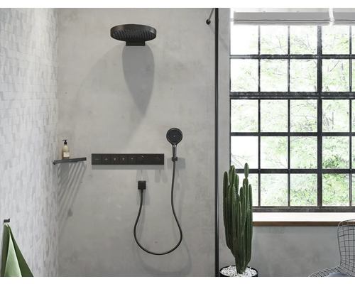 Salle de bains avec système de douche, étagère, serviette et cactus devant la fenêtre