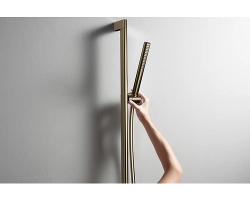 Duschstange mit Handbrause an der Wand