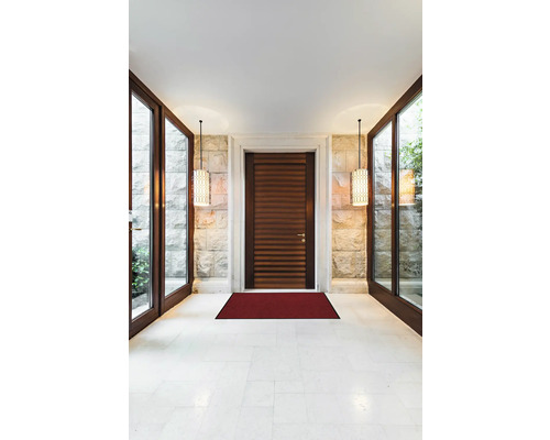 Heller Eingangsbereich mit Holztür und roter Fußmatte