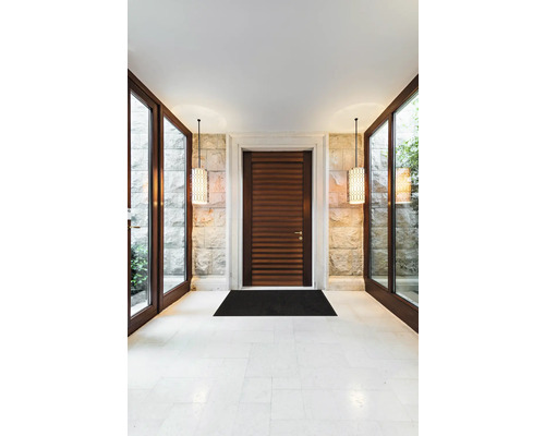 Hall d''entrée avec porte en bois, fenêtres en verre et éclairage