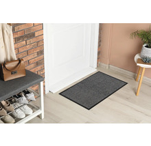 Scène avec un paillasson devant une porte, une étagère à chaussures et des objets décoratifs.