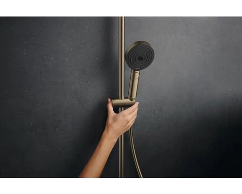 Handbrause mit Brausestange im Badezimmer