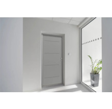 Innenraum mit Innentür mit Drückergarnitur und Fensterfront mit Zimmerpflanze