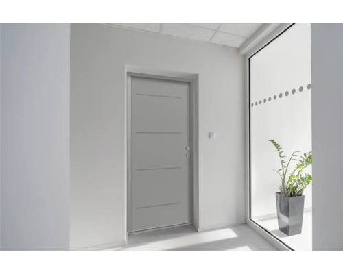 Intérieur avec porte intérieure et plante en pot