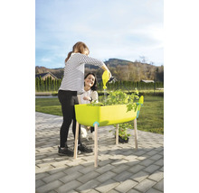 Une personne arrose des plantes dans un potager surélevé avec un arrosoir pendant qu''une autre personne regarde. Jardinage en extérieur.