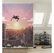 Papier peint photo avec motif Spiderman dans une pièce lumineuse avec fenêtres de toit et étagère à chaussures.