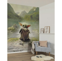 Salon avec un papier peint photo représentant le personnage de Grogu devant un paysage de montagne