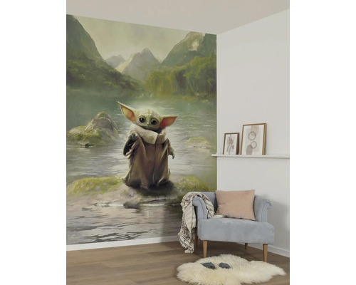 Salon avec un papier peint photo représentant le personnage de Grogu devant un paysage de montagne