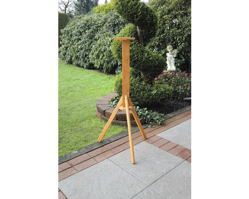 Support en bois pour nichoir dans le jardin