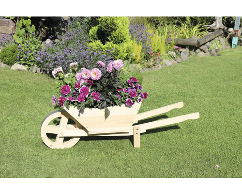Holzschubkarre bepflanzt mit Blumen im Garten