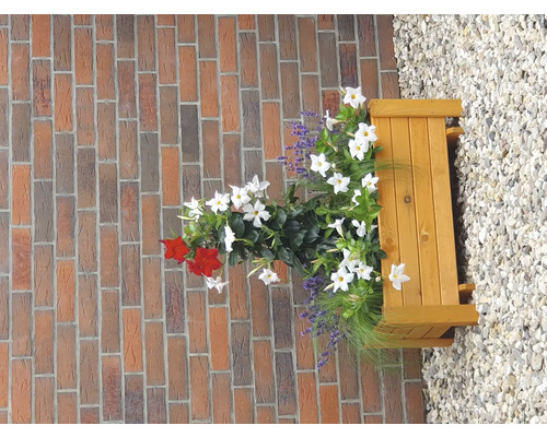 Holzblumenkasten mit blühenden Pflanzen an einer Backsteinmauer