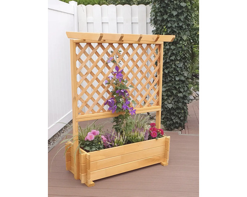 Holzpflanzkasten mit Rankgitter und blühenden Pflanzen