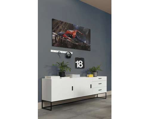 Wohnraum-Szene mit einer Kommode, einem Wandbild, einer Hängeleiste und dekorativen Elementen.