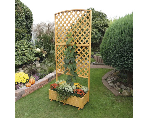 Holzpflanzkasten mit Rankgitter im Garten