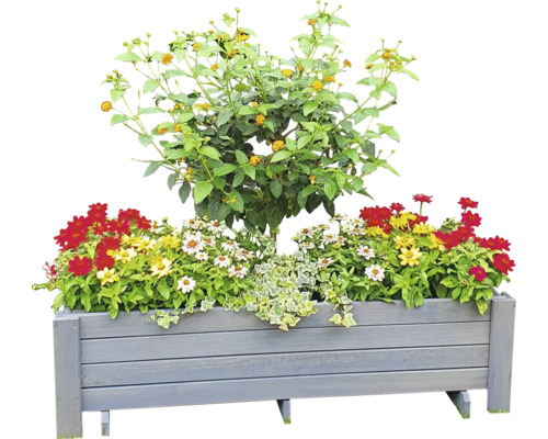 Jardinière plantée de diverses fleurs et plantes