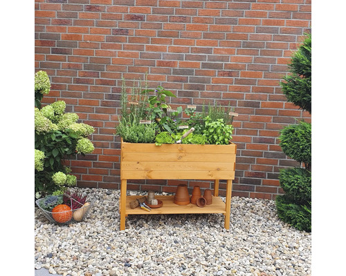 Jardinière surélevée en bois avec herbes et légumes dans le jardin devant un mur de briques