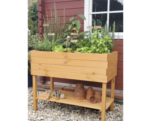 Jardinière surélevée en bois avec herbes aromatiques et outils de jardinage