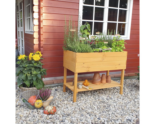 Jardinière sur pieds en bois avec herbes et légumes, outils de jardinage et plantes