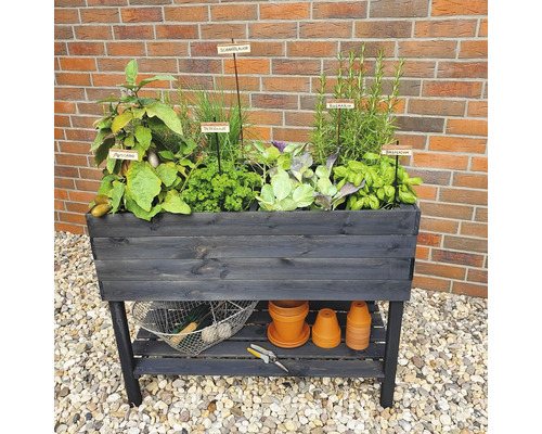 Jardinière surélevée en bois avec diverses herbes et plantes dans le jardin
