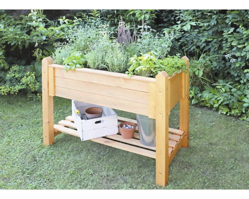 Jardinière surélevée en bois avec herbes aromatiques et étagère pour outils de jardin dans le jardin