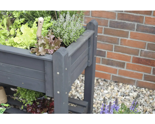 Jardinière surélevée en bois plantée de différentes sortes de salades et d''herbes aromatiques.