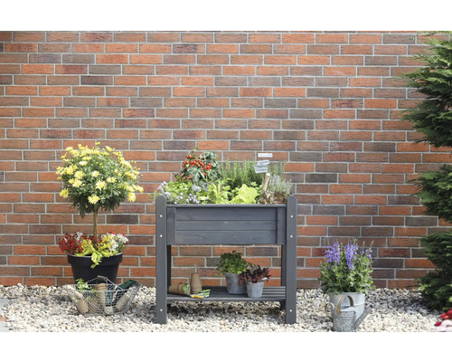 Jardinière surélevée en bois avec diverses plantes et herbes dans un jardin