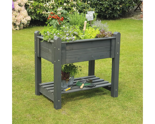 Jardinière surélevée en bois avec herbes et légumes dans le jardin