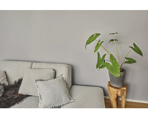 Wohnzimmer mit grauer Couch, Kissen und Zimmerpflanze auf einem Holzhocker.