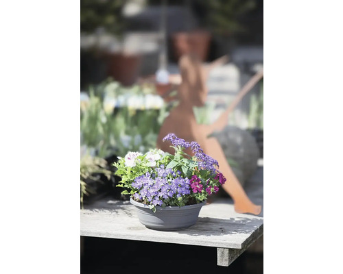 Blumentopf mit verschiedenen Blumen auf einem Holztisch