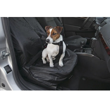 Jack-Russell-Terrier mit Sicherheitsgurt sitzt auf einem Autositzbezug