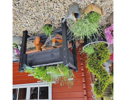 Étagère de jardin avec plantes, pots et accessoires de jardinage en extérieur.