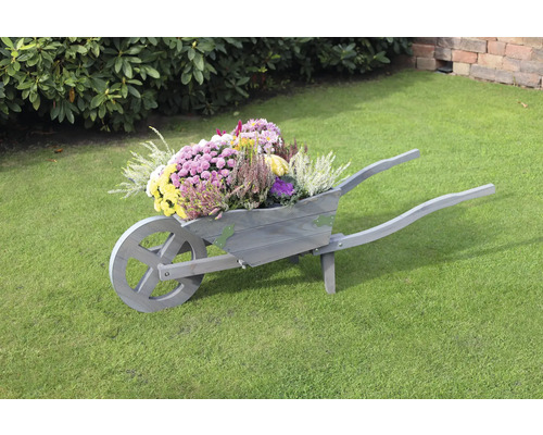 Dekorative Schubkarre aus Holz mit Herbstblumen auf Rasen