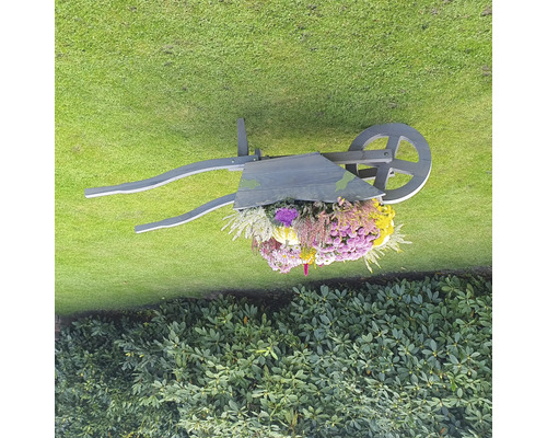 Dekorative Schubkarre aus Holz mit Blumen auf einer Rasenfläche