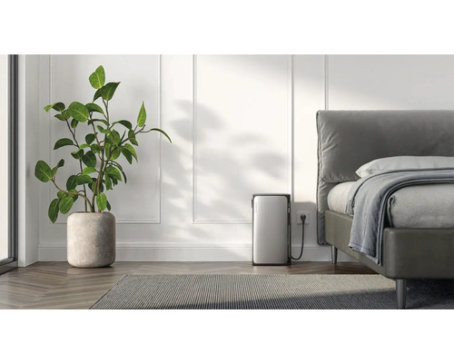 Chambre avec lit, plante d''intérieur et purificateur d''air