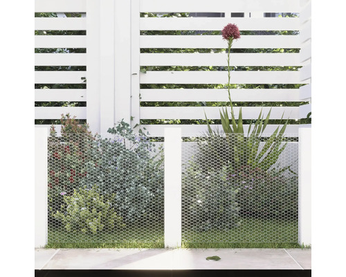 Gartenszene mit weißem Zaun, Maschendrahtzaun und Bepflanzung