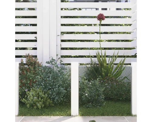 Gartenszene mit Sichtschutzzaun, Bepflanzung und Rasen