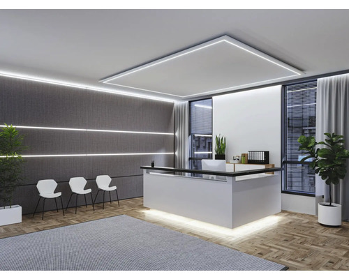 Espace de réception avec comptoir, chaises, tapis, plantes et éclairage