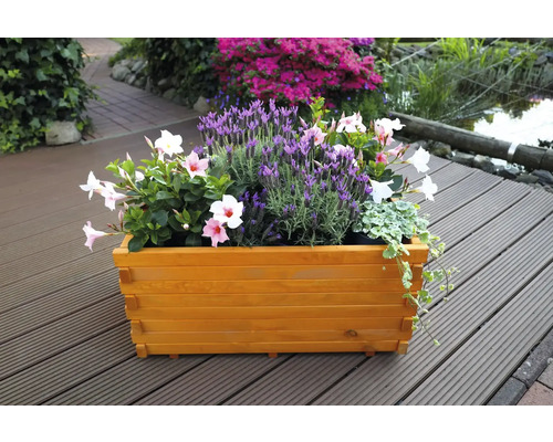 Holzblumenkasten mit verschiedenen Blumen im Garten