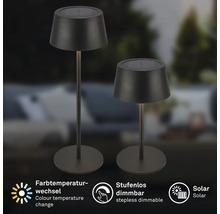Zwei Solarleuchten für den Aussenbereich