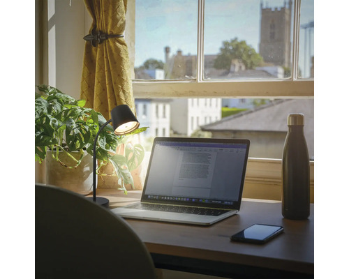 Bureau avec ordinateur portable, lampe, plante, téléphone portable et gourde devant une fenêtre donnant sur une ville.