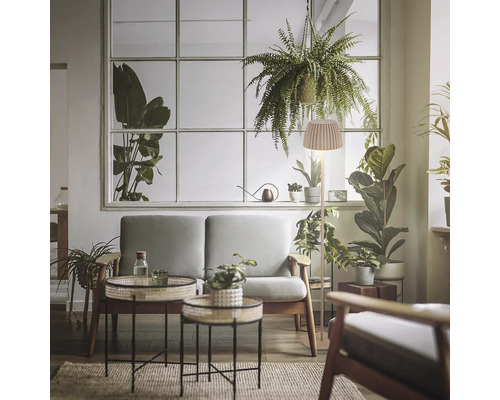 Salon avec canapé, lampadaire et plantes