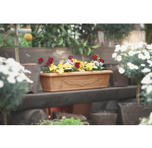 Jardinière avec des plantations saisonnières sur un banc en bois